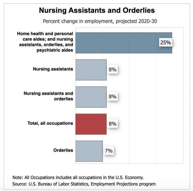 what-does-a-nursing-assistant-do-with-pictures